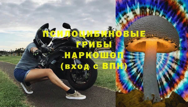 ПСИЛОЦИБИНОВЫЕ ГРИБЫ Нефтегорск