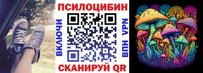 Псилоцибиновые грибы мицелий  МЕГА ONION  Шагонар 